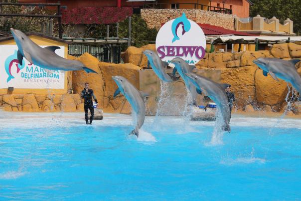 Parques de ocio accesibles