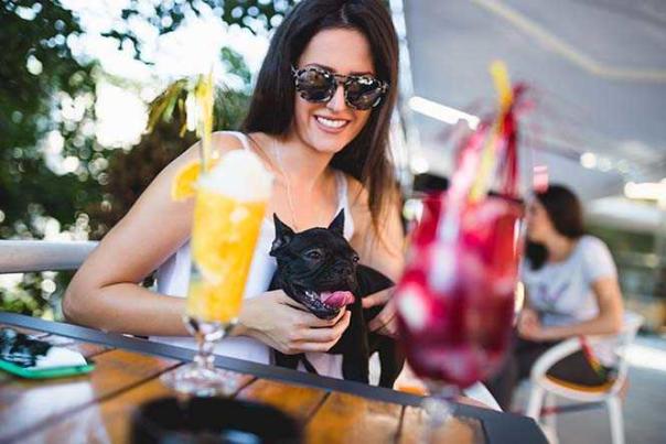 Imagen Primaria - De tapas con tu mascota por Granada… y provincia