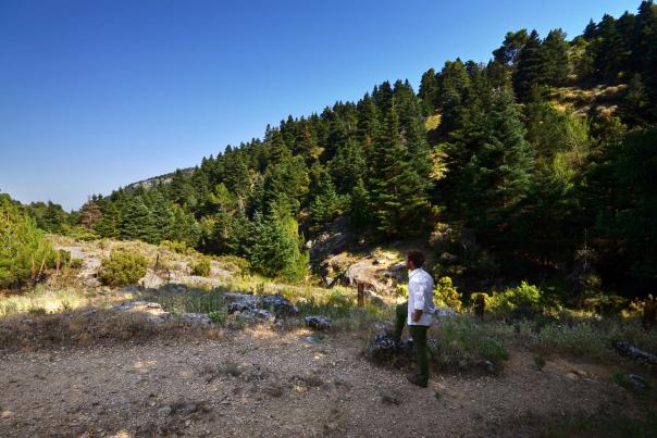 Imagen Primaria - 2 planes poco conocidos que hacer en la Sierra de las Nieves