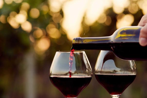 Ruta accesible por las mejores bodegas gaditanas