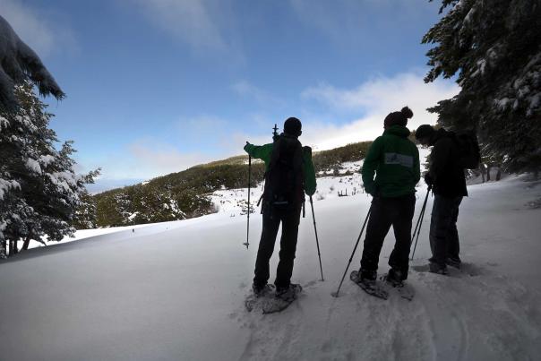 Imagen Primaria - Raquetas de nieve por los bosques de Sierra Nevada