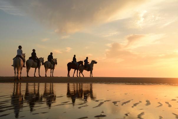 Imagen Primaria - Un paseo por las orillas de las mejores playas de Andalucía