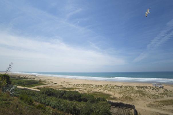 Imagen Primaria - Los destinos surferos de Cádiz que te transmitirán su buen rollo