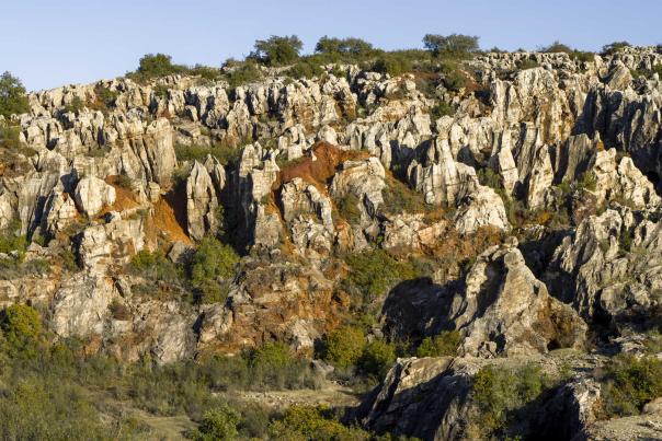 Imagen Primaria - Escalada en el Cerro del Hierro