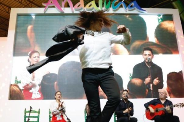 Cuadro Flamenco «Paco de Dios»