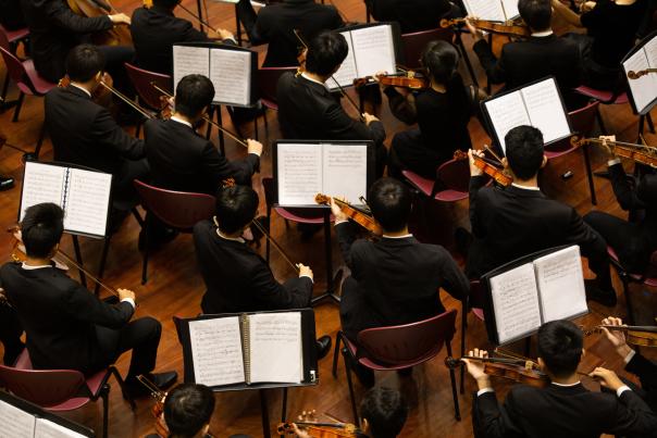 Donec Vestibulum Philharmonic