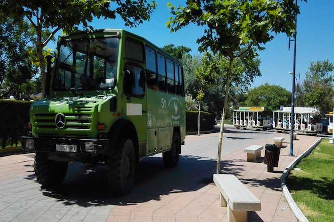 Imagen Primaria - Adéntrate en el corazón de Doñana en una exclusiva ruta en 4x4