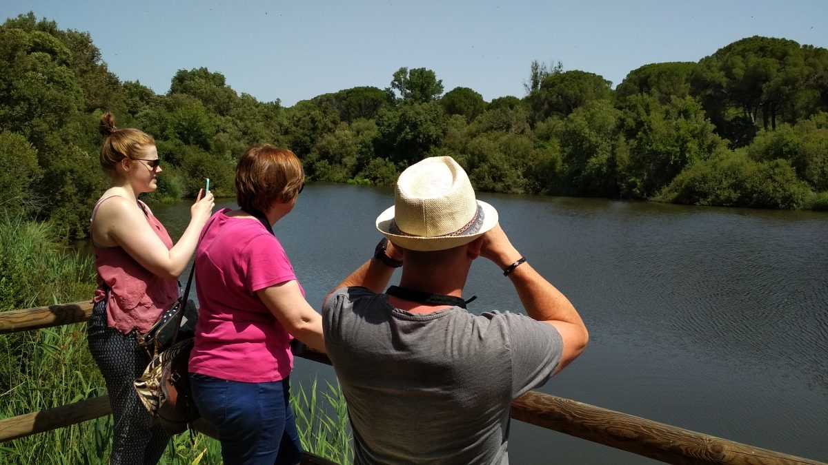 Excursión privada al Parque Nacional de Doñana