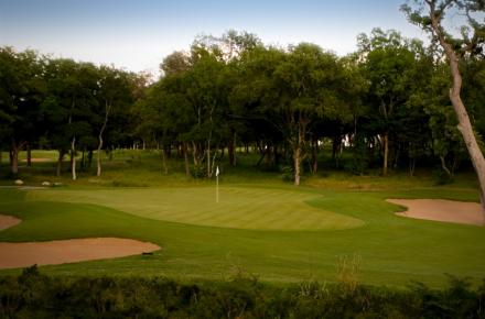 11 green