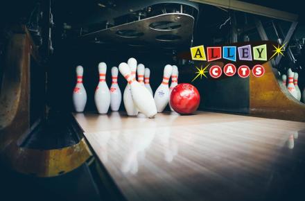 Pin Splash