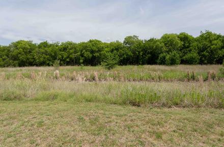 Bowman Branch Linear Park