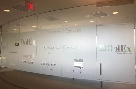 Frosted Vinyl Project
