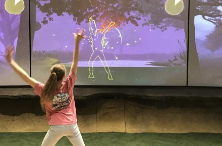 Discover Room Exhibit- Fireflies