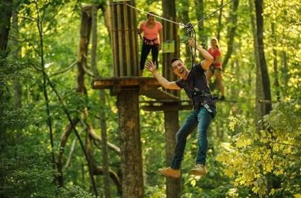 Go Ape Arlington Texas