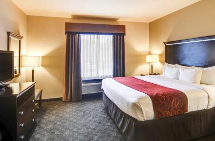 King Suite