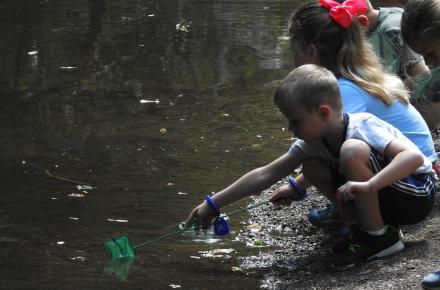Summer Creek