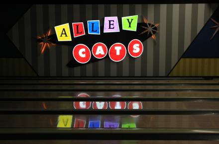 Alley Cats