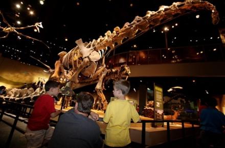 Dinosaur
