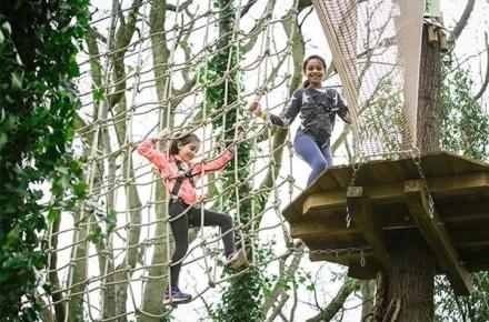 Go Ape Arlington Texas 2
