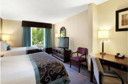 Standard Two Queen Beds