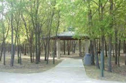 bob mcfarland park