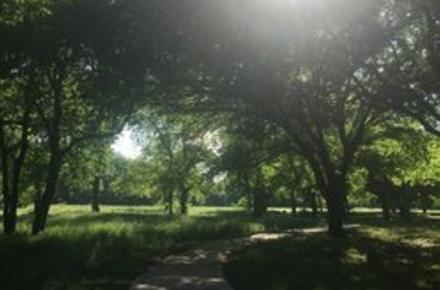 clarence foster park