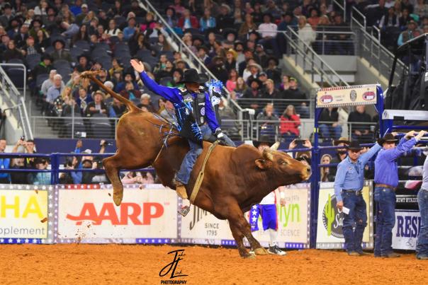 The American Rodeo