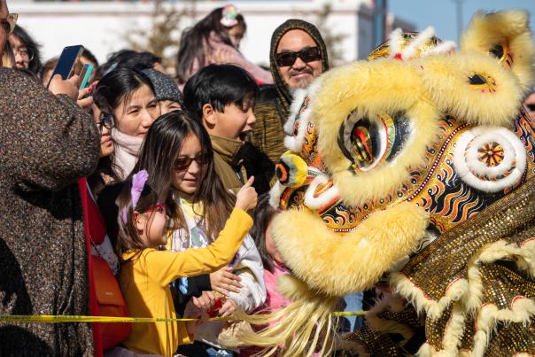 Lunar New Year Celebration