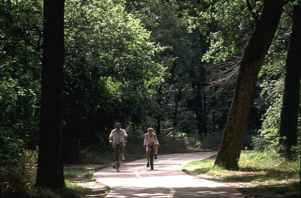 biking at River Legacy
