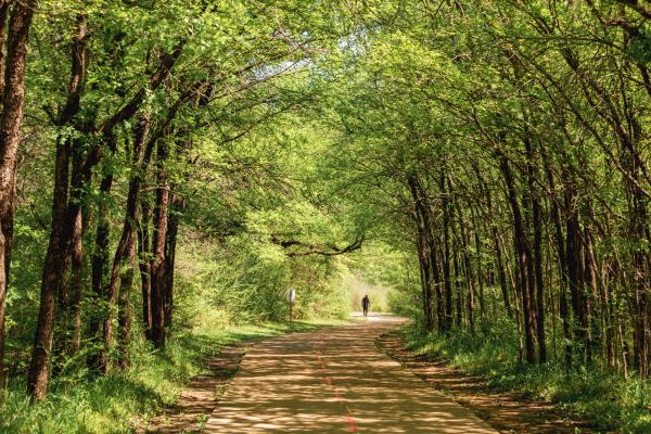 River Legacy Park - Trail