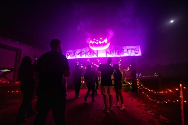 Pumpkin Nights