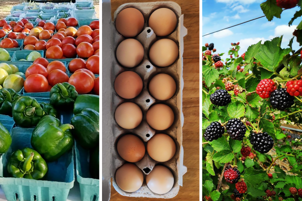 Farms Blog header image