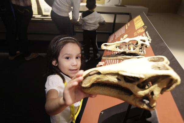Perot museum