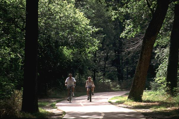 biking at River Legacy