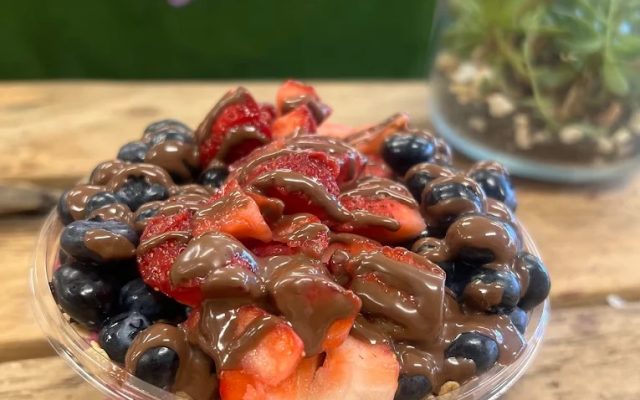 Kula Bowls by Icey Chicks | ATL Airport District, GA Listings