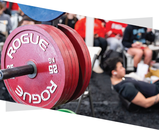 Powerlifting_weights_microsite
