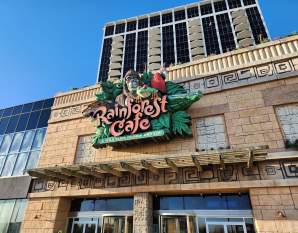 Rainforest Cafe