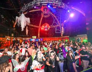 Boooogie Nights Ultimate Halloween Bash