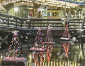 S’mores on the Greene