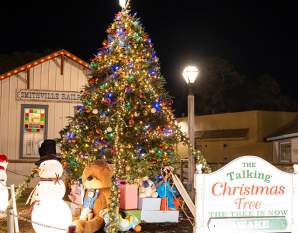 The Magic Talking Christmas Tree