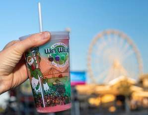 Wet Willies Resorts
