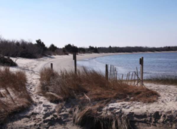 Corson's Inlet State Park