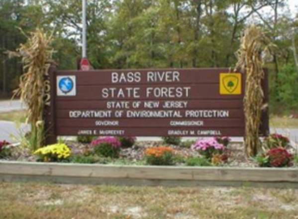 Bass River State Forest