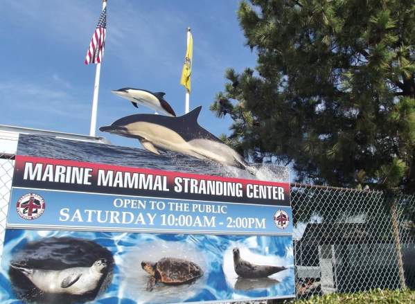 Marine Mammal Stranding Center