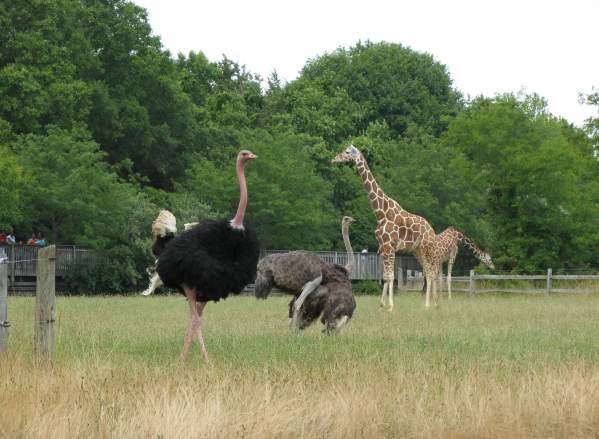Cape May County Park & Zoo