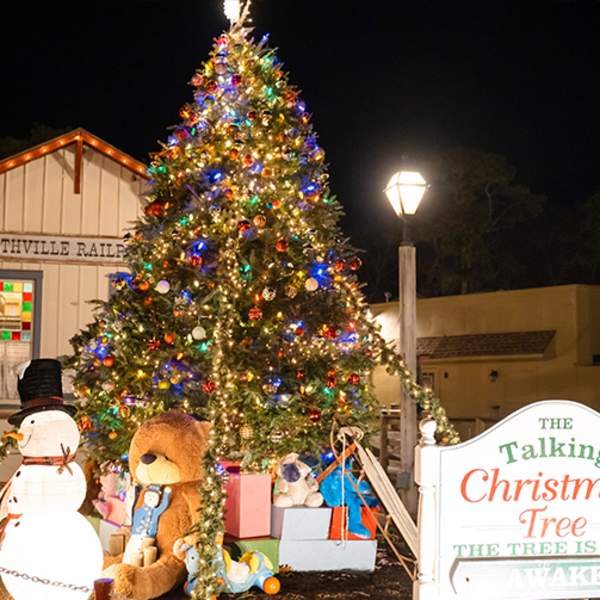 The Magic Talking Christmas Tree