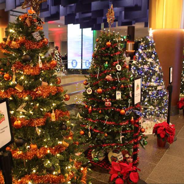 9th Annual Deck The Hall - Festival of Trees