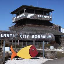 AC Aquarium_01