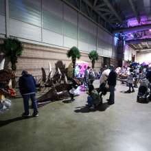 IMG_6701.jpg