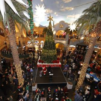 Tropicana Tree Lighting
